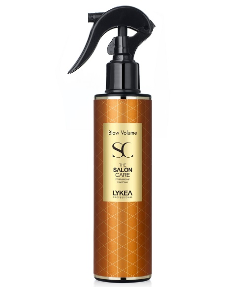 The Salon Care Blow Volume 이미지