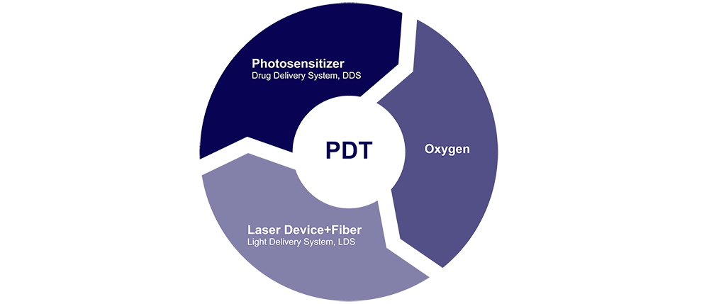 pdt제품_구성이미지